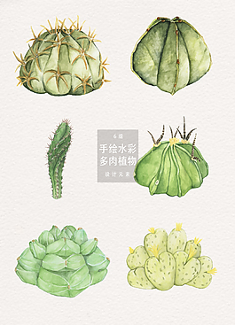 手繪水彩多肉植物矢量設計元素