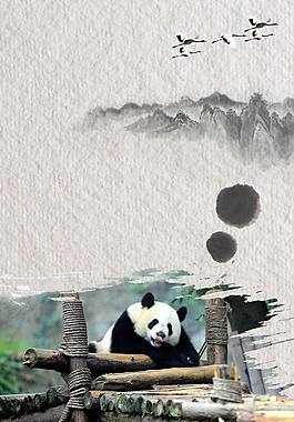 中国风可爱熊猫广告背景