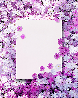 紫色時尚花朵背景