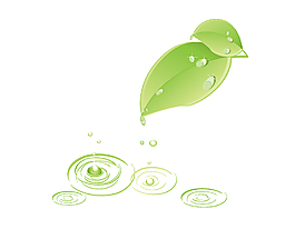 矢量绿色树叶水滴下的旋涡