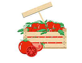 木框里的有机蔬菜番茄矢量图