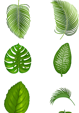 绿色植物叶子图案