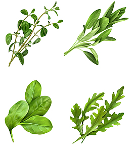 綠色蔬菜圖案