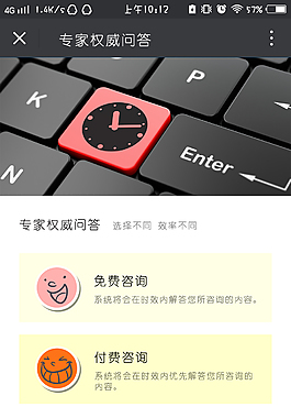 选择咨询付费是否