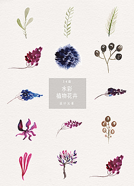 水彩植物花卉裝飾設計元素