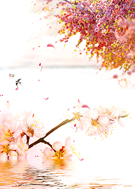 粉色樱花节浪漫海报背景