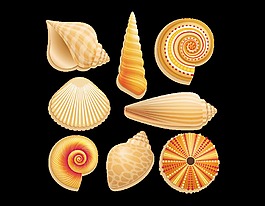 矢量海螺蜗牛元素