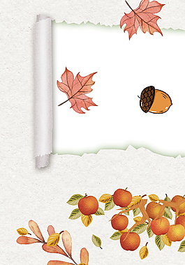 秋季楓葉柿子松果海報背景素材
