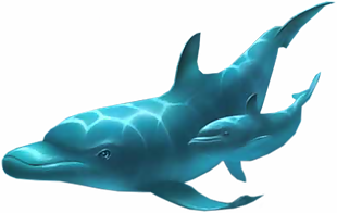 海 魚