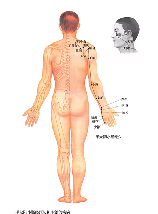 針灸推拿手太陽小腸經穴位