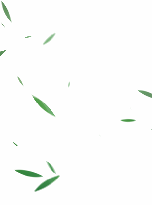 树叶