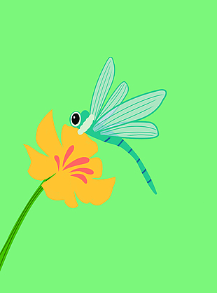 蜻蜓