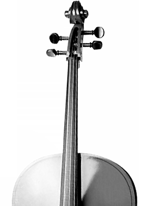 小提琴