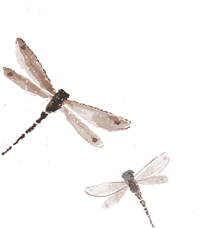 飛翔的水墨蜻蜓
