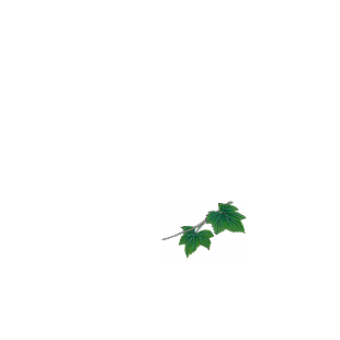 樹葉