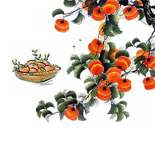 紅柿子