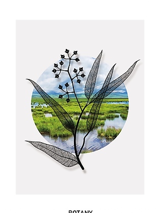 文藝簡約植物樹葉風景圖案裝飾畫