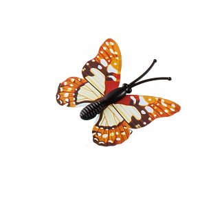 蝴蝶高清免摳圖