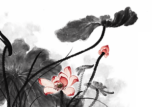 水墨蓮花