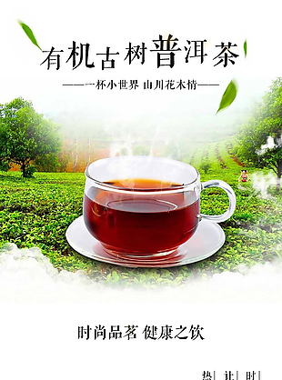 茶品详情页