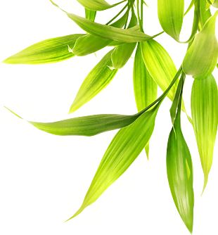 裝飾點綴