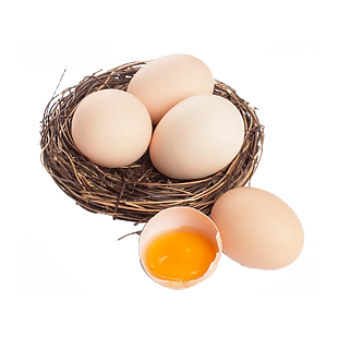 鸡蛋素材