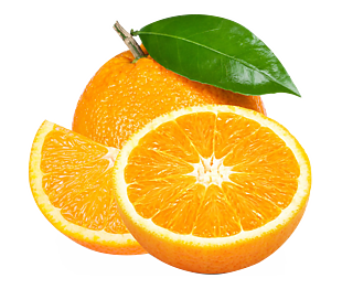 水果橙子切开的橙子