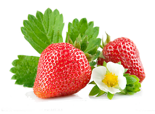 绿色草莓新鲜草莓