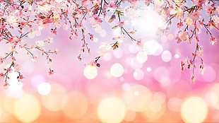 春暖花開