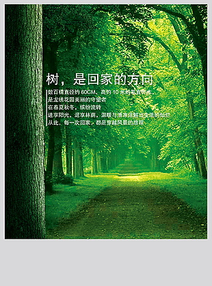 地產(chǎn)　宣傳　海報(bào)