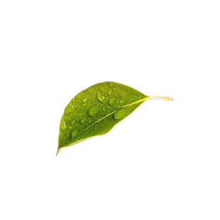 素材