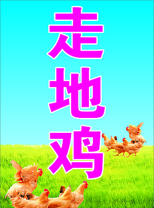 走地雞