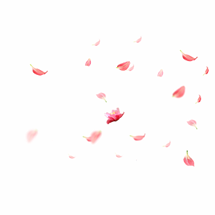 花瓣設計素材 png 透明 素材