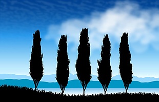 藍色群山松樹