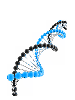 DNA