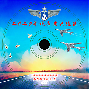 部隊退伍光盤封面