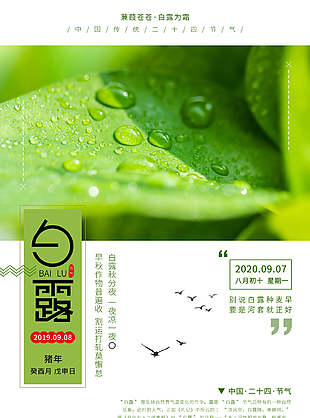 白露圖片