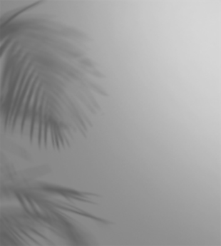 植物阴影投影