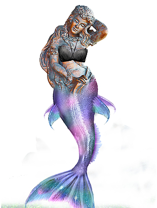 美佛魚