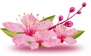 桃花