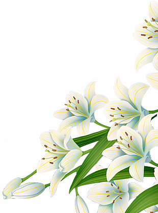 白色蘭花