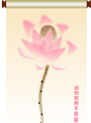 荷花圖
