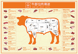南美牛肉分割圖