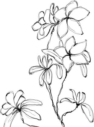 花朵矢量圖免扣