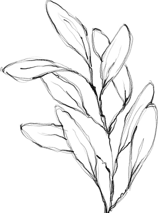 花朵矢量圖免扣