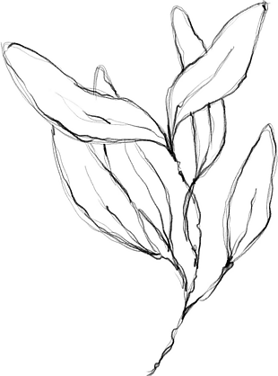 花朵矢量圖免扣