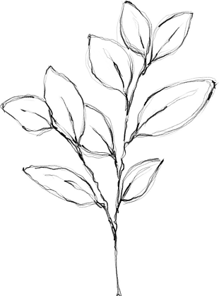 花朵矢量圖免扣