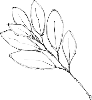花朵矢量圖免扣