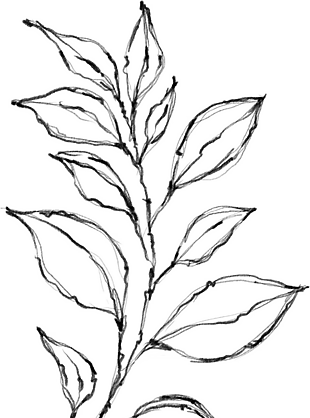花朵矢量圖免扣