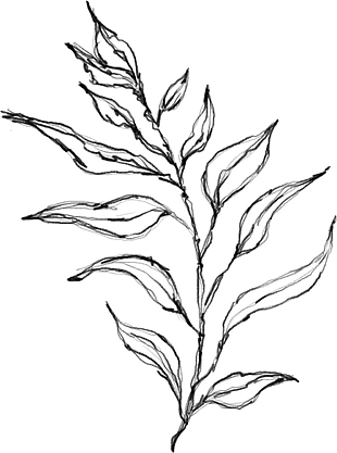 花朵矢量圖免扣